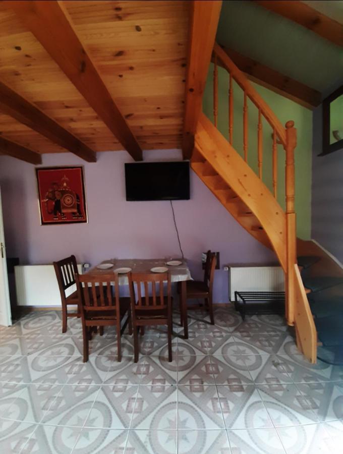 Apartment Slonik *