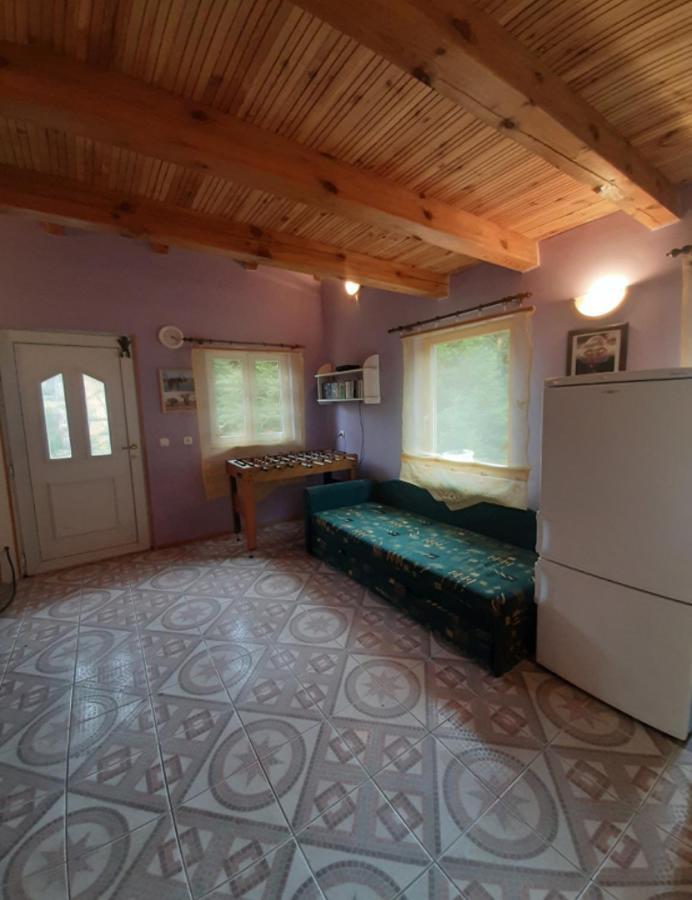 Apartament Słonik *
